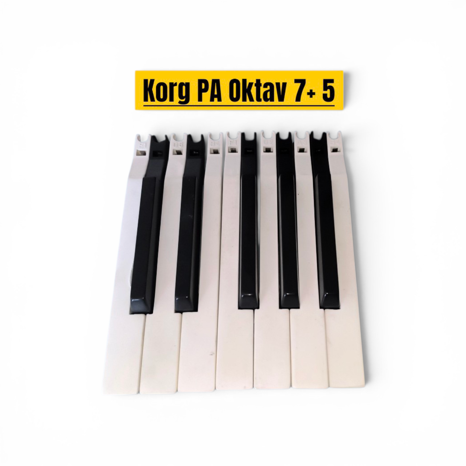 KORG PA5X -PA4X -PA3X -PA2X -PA1X-Octave Set Keys, White -ORIGINAL KORG PART