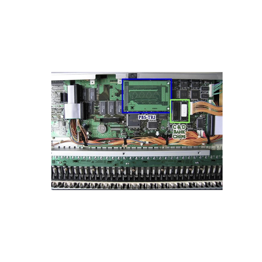 صورة من المعرض